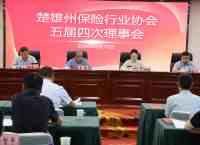 楚雄州保险行业协会召开五届四次理事会