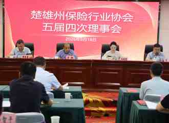 楚雄州保险行业协会召开五届四次理事会