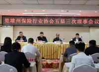 楚雄州保险行业协会召开五届三次理事会议